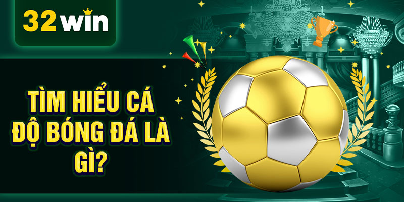 Tìm hiểu cá độ bóng đá là gì?