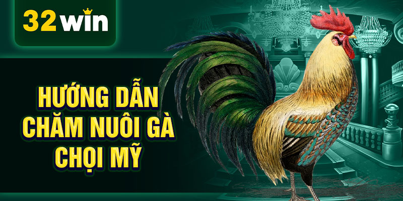 Hướng dẫn chăm nuôi gà chọi Mỹ Hướng dẫn chăm nuôi gà chọi Mỹ