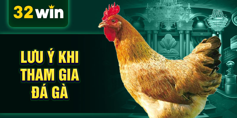 Lưu ý khi tham gia đá gà